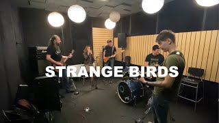 Birdy — Strange Birds (full band rock cover)