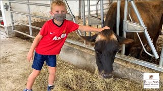 Junior Farmer Camp at Billings Farm & Museum