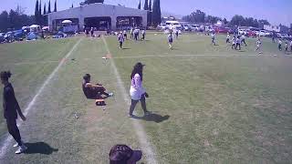 Venado Azul Vs Cóndor