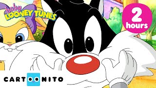 Arts and Craft Time! | Baby Looney Tunes 2-HOURS MARATHON | Cartoonito
