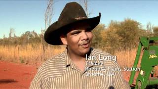 Live cattle export: important to northern Australia