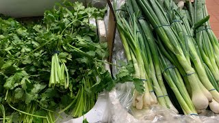 VEGGIES AND FRUITS