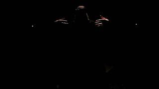 Lujan Matus:  The Art of Lo Ban Pai : Embracing the Tree