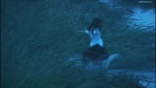 ♡ sad edit audios + description  timestamps ♡