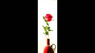 Maria - YHWH´s Allmacht (BibelRap)