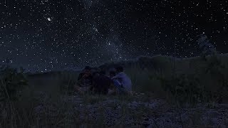 Exciting Evening Amidst The Nature