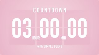 3 Hr Countdown Timer 🌸 Flip Clock 🔔