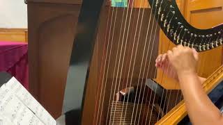 Ann on harp 071620