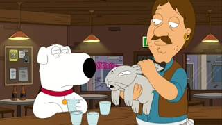 Family Guy - Asian Rabbit