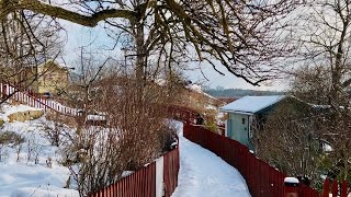 Walking in a winter wonderland. Snowy Stockholm gardens of Tanto. 