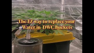 How to Empty your DWC buckets FAST & without a MESS!