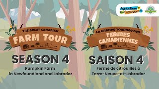La Grande Tournée des Fermes Canadiennes S4 : Épisode 2 - ferme de citrouilles
