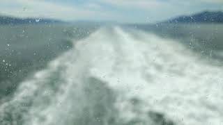 Seas the day !
