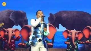 ADA GAJAH DI BALIK BATU - WALI - LIVE AT JAKARTA 2025
