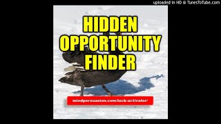 Hidden Opportunity Finder - Find What Others Won't