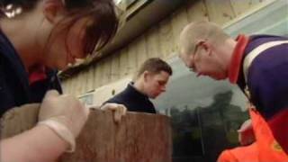 Seal Rescue - Scarborough style!