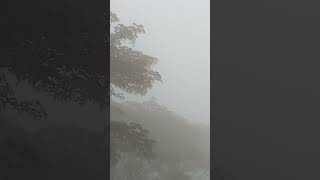 ছোটবেলার সেই কুয়াশা ভরা যে সকল,,,,