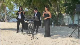 Three Piece Band By L R Entertainment