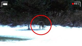 10 Unsolved Mysteries That Will Make You Question Reality