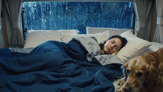 Rain and Thunder Sounds in Car | Relaxing Rainstorm for Sleep and Focus on a Stormy Night 🌧️🚗💤