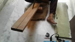 Funny videos viral