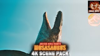 JWR Mosasaurus 4K Scenes Pack