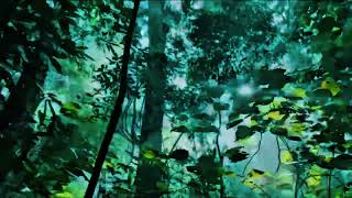 প্রকৃতির ছোয়া পেতে সব সময়ই ভালো লাগে || 3T EntertainmenT