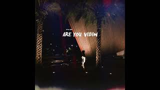 Are You Vibin (Official Audio)
