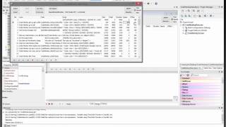 The Making of the CodeMonkey in Delphi Code by Jim McKeeth
