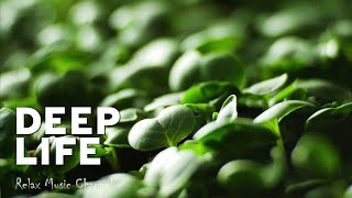 New Beginnings: Nature's Growth and Development