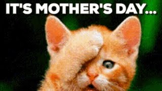 Happy Mothers Day Everyone 💓
