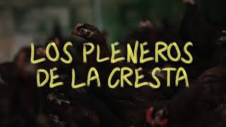 El legado de un Abuelx
