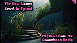 Stem Spiral | Prog House Chill Out Music, House Music For When Your High, Instrumental Deep House
