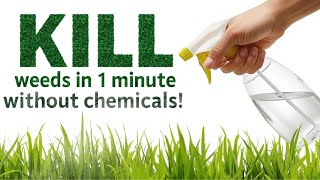 KILL Weeds in 1 Minute Without Chemicals!