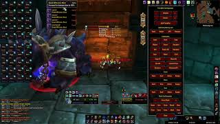 Chromaggus - Solocraft - VIP