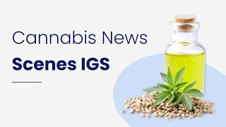 Cannabis Top News Scenes IGC