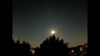 Strawberry Moon Music Video  Feat :My New Girlfriend/Ethan Broke My Heart/and Her name is Cicada