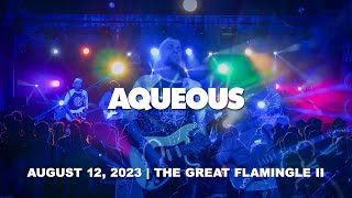 Aqueous: August 12, 2023 - The Great Flamingle II (Complete Show) [4KPRO]