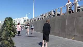Dog scared to death | Bushman Prank