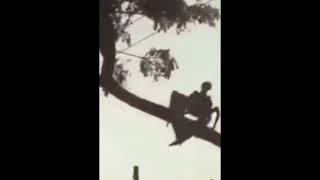 Strange Creatures, Unexplained Video, Aliens Caught on Camera, Footage of Winged Demon