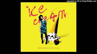 New Young Pony Club - Ice Cream (Tiga Remix)(cut from live set Tiga @ Electrosonic Festival 2007)