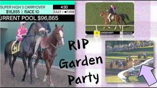 RIP GARDEN PARTY 2.22.26 killed at @Santa Anita Park #horseracing
