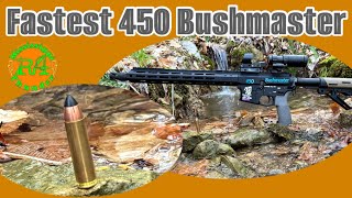 Fastest 450 Bushmaster Ammo - Blackbutterfly Ammunition’s “Screamer”