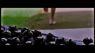 Advaita 2012 MBBS Graduation Theme song