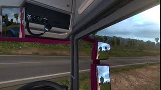ETS2 Numpty On The Road #128 (Report Evidence) [TMP]