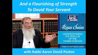 Rinat Chaim: And a Flourishing of Strength To David Your Servant with Rabbi Aaron Dovid Poston