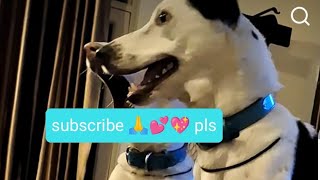 @Maxzervlogs  is live