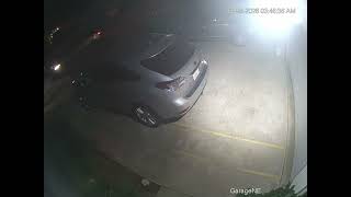 Hit and Run Exultant 02/28/26