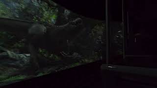 King Kong 360 3D (2025) Universal Studios Hollywood