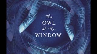 Carl Gorham introduces 'The Owl at the Window' by Hodder Books